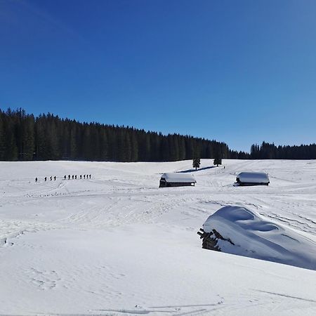 Villa Pokljuka Zgornje Gorje Luaran gambar