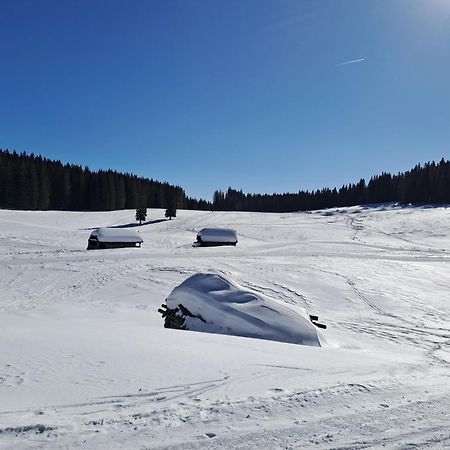 Villa Pokljuka Zgornje Gorje Luaran gambar