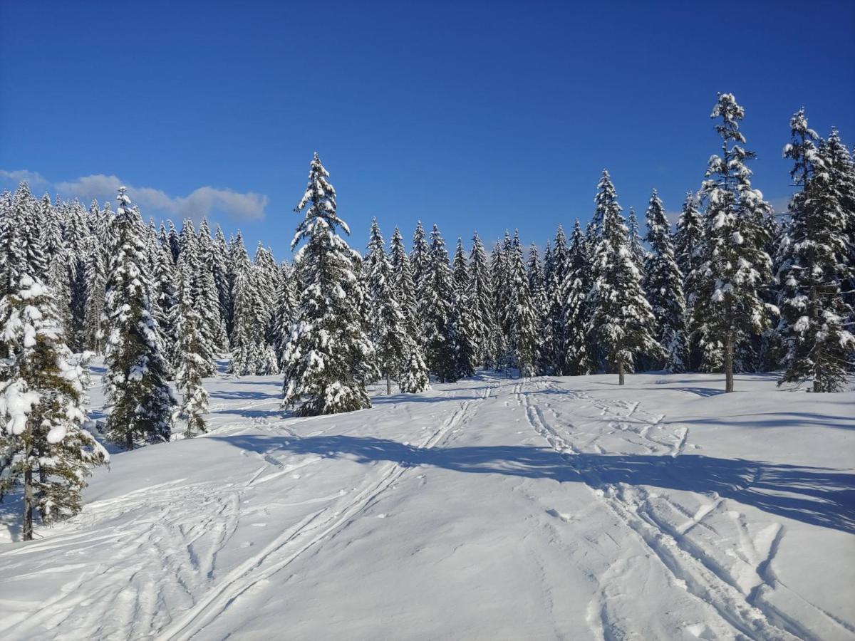 Villa Pokljuka Zgornje Gorje Luaran gambar