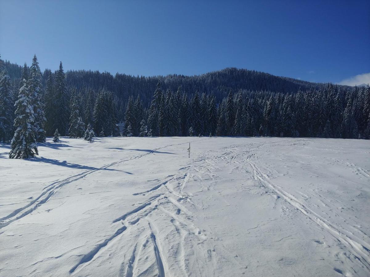 Villa Pokljuka Zgornje Gorje Luaran gambar