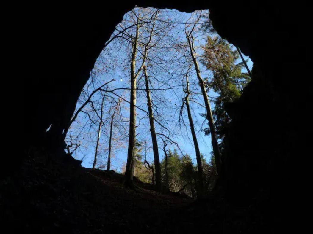Villa Pokljuka Zgornje Gorje Luaran gambar