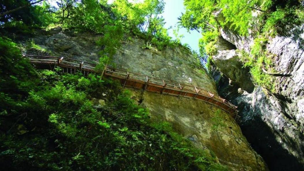 Villa Pokljuka Zgornje Gorje Luaran gambar