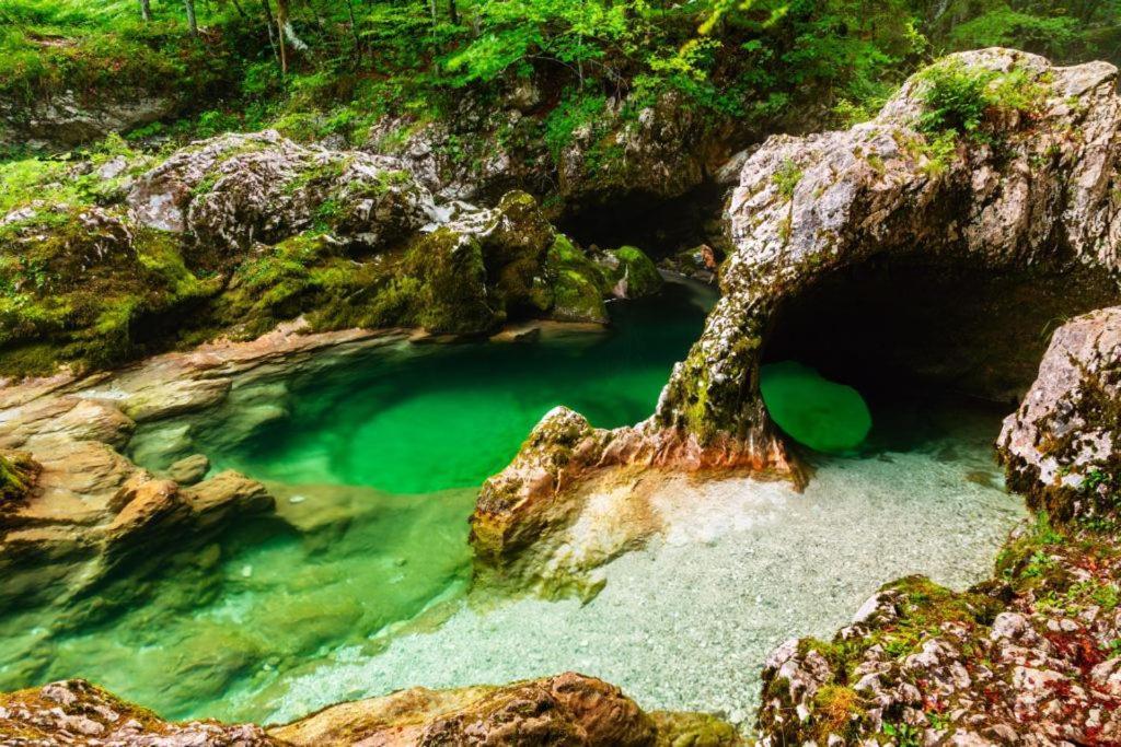 Villa Pokljuka Zgornje Gorje Luaran gambar