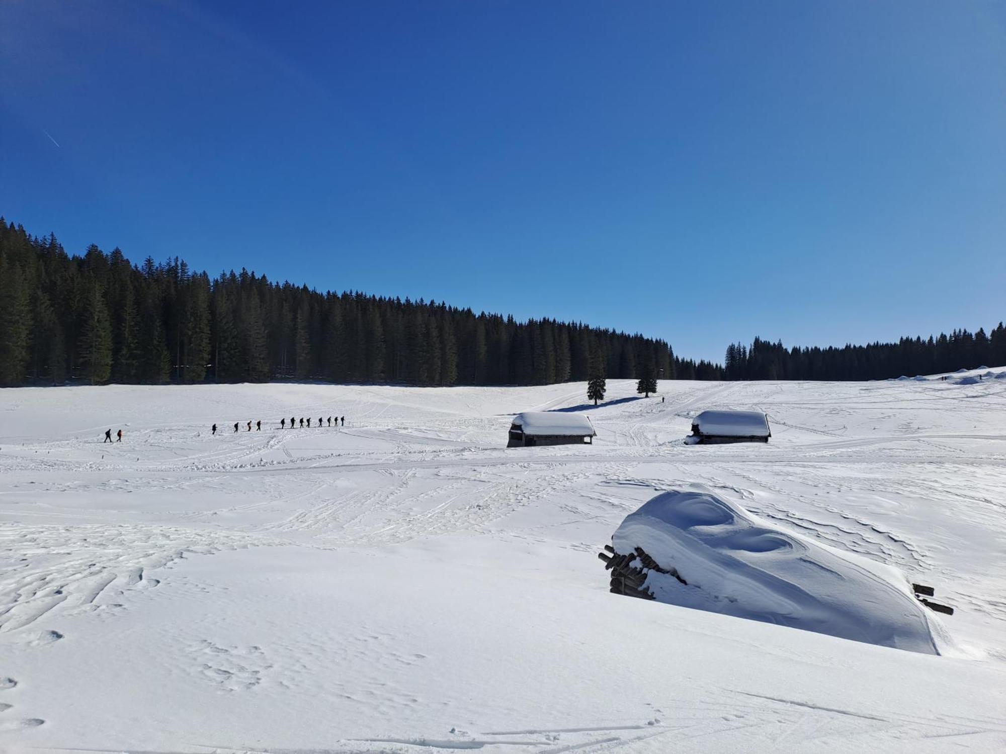 Villa Pokljuka Zgornje Gorje Luaran gambar