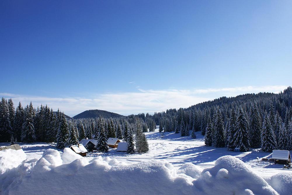 Villa Pokljuka Zgornje Gorje Luaran gambar