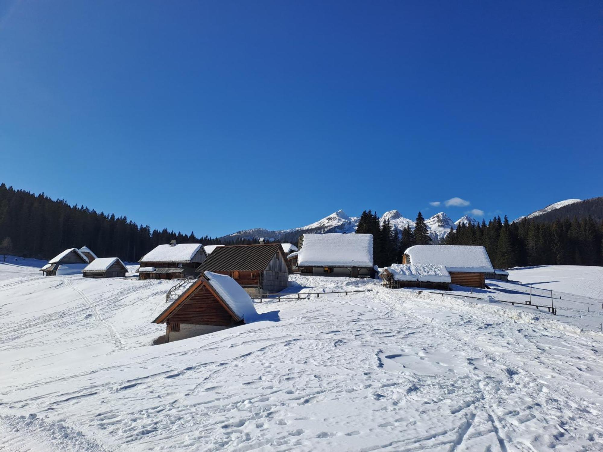 Villa Pokljuka Zgornje Gorje Luaran gambar